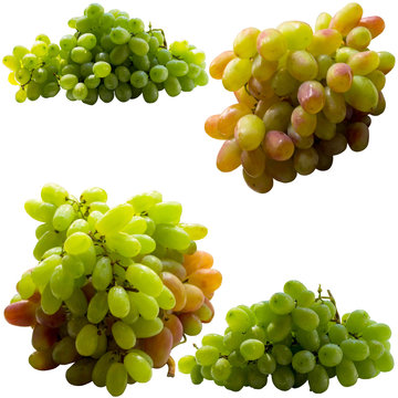 Grapes isolated on  white background.