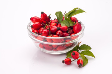 rose hip isolated