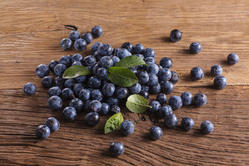 Sloes on board