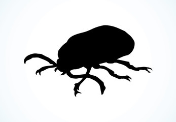 Beetle barbel. Vector drawing