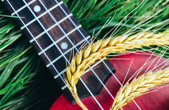 An ukulele guitar with a golden rye spikes. Music, nature and harvesting concept.