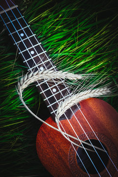 An ukulele guitar with a golden rye spikes. Music, nature and harvesting concept.