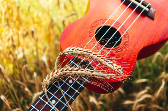 An ukulele guitar with a golden rye spikes. Music, nature and harvesting concept.