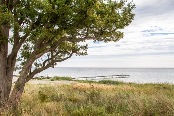 Spaziergang an der Ostsee-K&uuml;ste