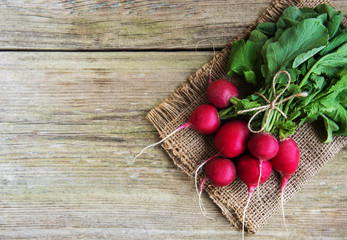 Fresh purple radish