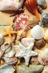 Summer time concept with sea shells