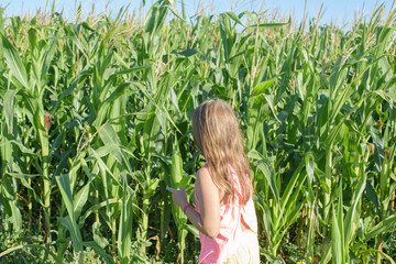 girl in corn field