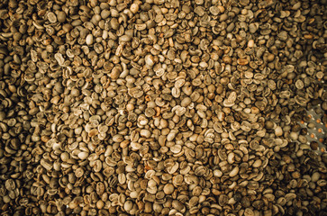 green raw coffee beans being sorted out 