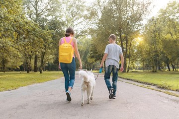 Group of children walking with a white husky dog, park road background. View from the back.