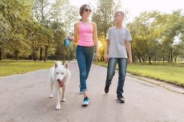 Group of children walking with a white husky dog, park road background.