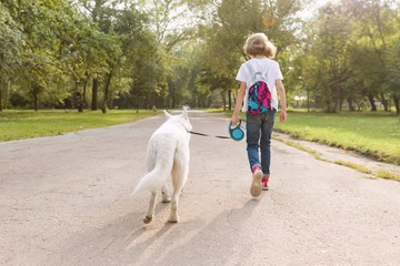 Child with dog walks along the road in the park. View from the back