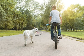 Boy with a white husky dog on bicycle in the park. View from the back