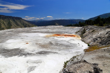 Lower Terraces Area, Mammoth Hot Springs, in Yellowstone National Park Wyoming, USA
