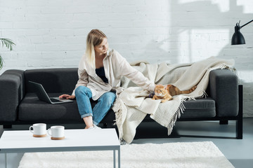 attractive girl palming cute red cat on sofa in living room and touching laptop