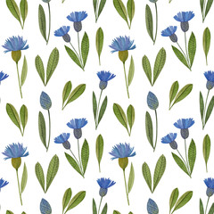 pattern with blue cornflowers, watercolor, wildflowers, background, texture