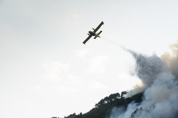 Fototapeta na wymiar A water bomber aircraft, Canadair, flying over a wildfire in a pine forest