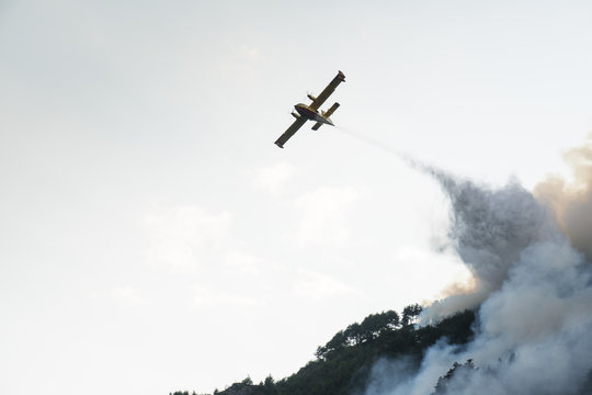 A water bomber aircraft, Canadair, flying over a wildfire in a pine forest