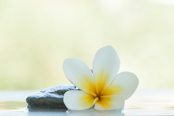 Fototapeta na wymiar spa flower and stones for massage treatment outdoors