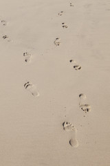 human footsteps at the sandy beach