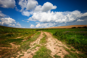 Fototapeta na wymiar Long and winding rural road crosses the hills and fields