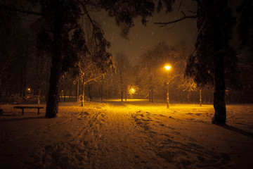 Night winter landscape. Snowy alley of city illuminated park