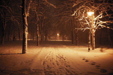 Night winter landscape. Snowy alley of city illuminated park