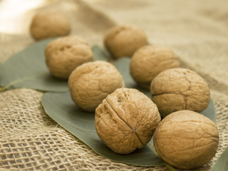 walnuts on green leaves