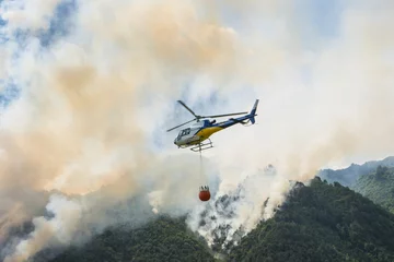Fototapeten Brandbekämpfung aus der Luft mit Hubschrauber bei einem großen Waldbrand in einem Kiefernwald © Arcansél