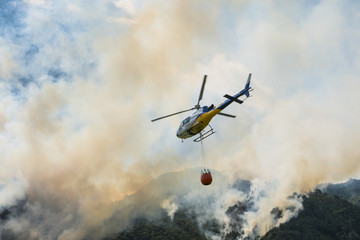 Aerial firefighting with helicopter on a big wildfire in a pine forest