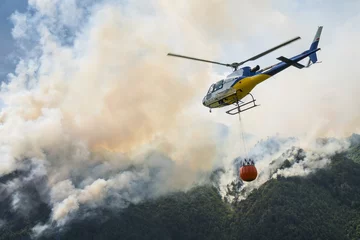 Zelfklevend Fotobehang Luchtbrandbestrijding met helikopter op een grote bosbrand in een dennenbos © Arcansél