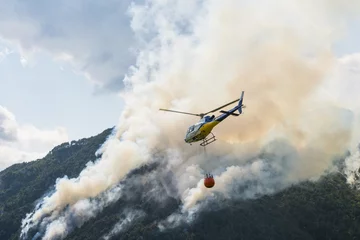 Fototapeten Luftbrandbekämpfung mit Helikopter bei einem großen Lauffeuer in einem Kiefernwald © Arcansél