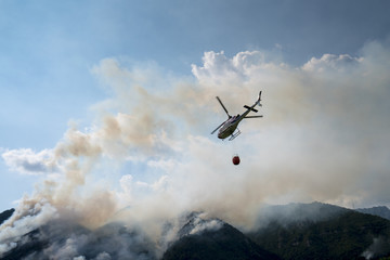 Naklejka na ściany i meble Aerial firefighting with helicopter on a big wildfire in a pine forest