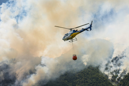 Aerial Firefighting With Helicopter On A Big Wildfire In A Pine Forest