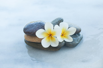 Fototapeta na wymiar Two tropical white flowers in stones for massage treatment on white marble background.