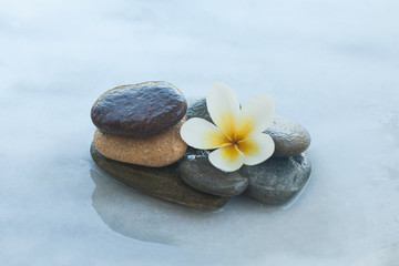 Fototapeta na wymiar spa flower and stones for relax massage treatment on white