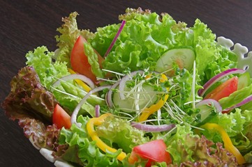 野菜サラダ　vegetable salad