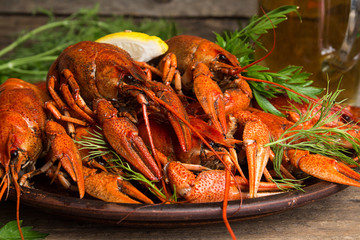 Beer party. Still life with glass of beer, crayfish crawfish against old wooden rustic background.