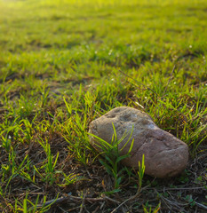 Naklejka na ściany i meble rock on green field