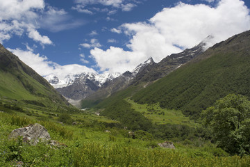 Fototapeta na wymiar Landscape with mountain backdrop, Valley of Flowers, Uttarakhand, India