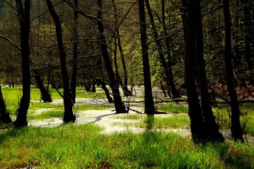 Nationalpark Jasmund - Rügen, Deutschland