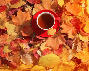 cup of tea on background autumn leaves
