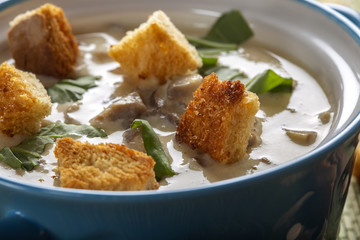 Mushroom cream soup with croutons and herbs