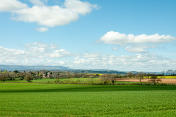 Fototapeta na wymiar Lush summertime landscape in the British countryside.