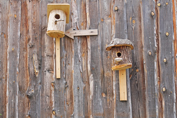 Birdhouses and pointer hanging on the wooden wall of barn