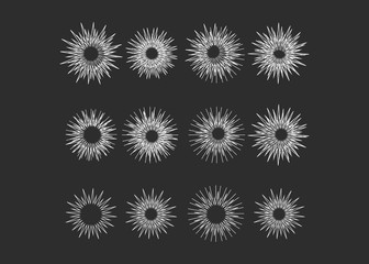 Icon sparkle line. Bright firework, decoration twinkle, shiny flash