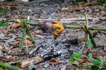 Roast chicken grilled in forest camping
