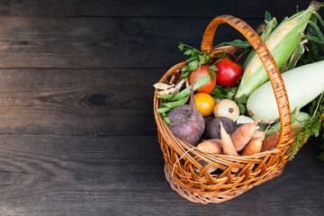 Fresh healthy food, detoxification plant. Organic detox harvest.