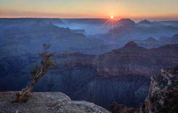 Reaching for the Light: Grand Canyon Sunrise