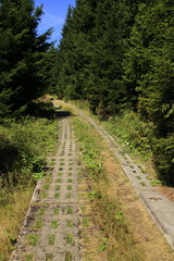 Fototapeta na wymiar Wanderweg auf den Wurmberg bei Braunlage. Der Wanderweg verläuft über einen alten Grenzweg, der aus Betonplatten besteht.
