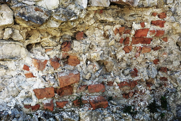 Wall texture